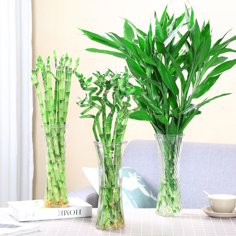 Γυάλινο βάζο Half Moon Bay με μπαμπού σε υδάτινη καλλιέργεια και κρίνο – διακόσμηση σαλονιού σε σκανδιναβικό στυλ με αποξηραμένα λουλούδια