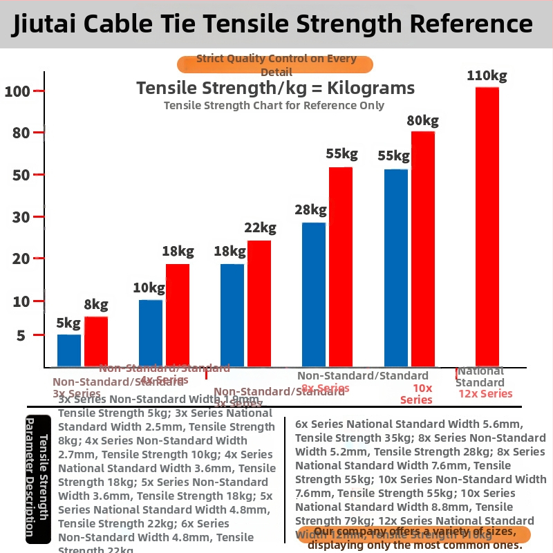 Αυτόκλειδωτό Νάιλον Δέσιμο - PA66, πλάτος 2,5 mm, για εργοτάξιο, ανθεκτικό σε κρύο