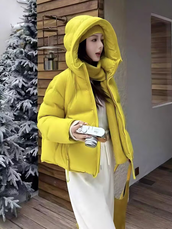 Дамско пухено яке с качулка: гъши пух, съдържание 56–60%, Nylon плат, дебело изработване, елегантен градски стил