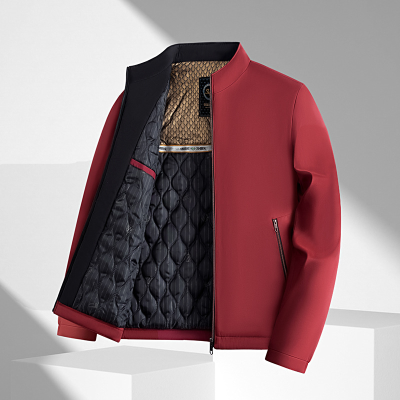 Ανδρικό μπουφάν κορεατικού στυλ με σφιχτή μέση, βαμβακό γέμισμα, κουκούλα