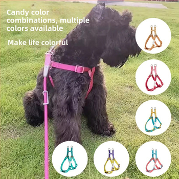 Kutyahám és póráz készlet | Poliészter, Eredet: Zhejiang, Kategória: háziállat kötele, Márka: UNMIXED, Csomagolás: 50 db