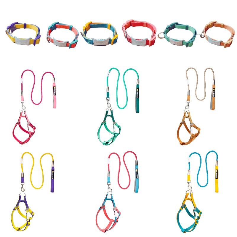 Kutyahám és póráz készlet | Poliészter, Eredet: Zhejiang, Kategória: háziállat kötele, Márka: UNMIXED, Csomagolás: 50 db