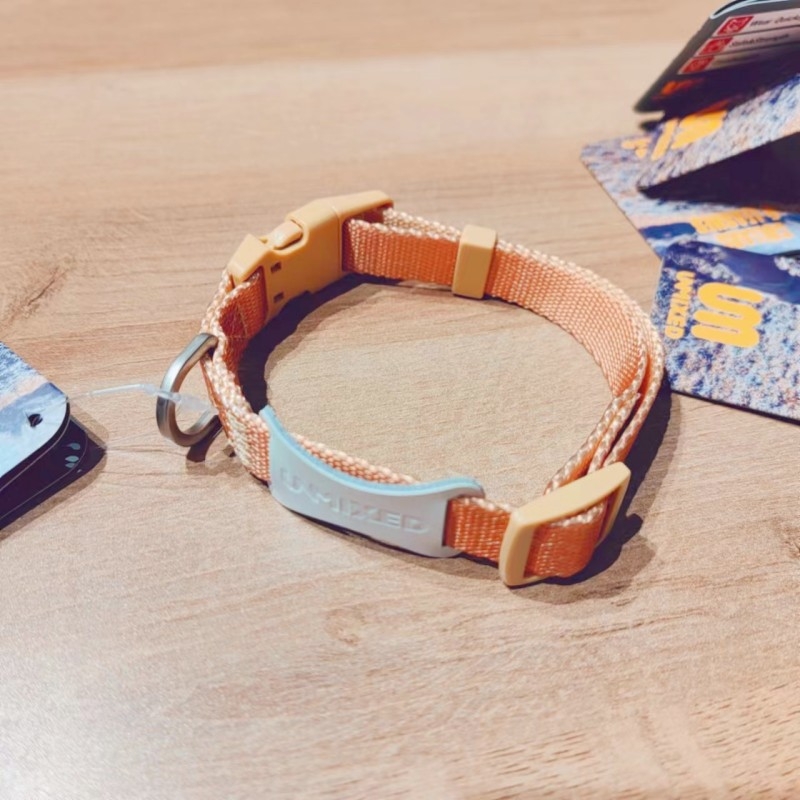 Kutyahám és póráz készlet | Poliészter, Eredet: Zhejiang, Kategória: háziállat kötele, Márka: UNMIXED, Csomagolás: 50 db