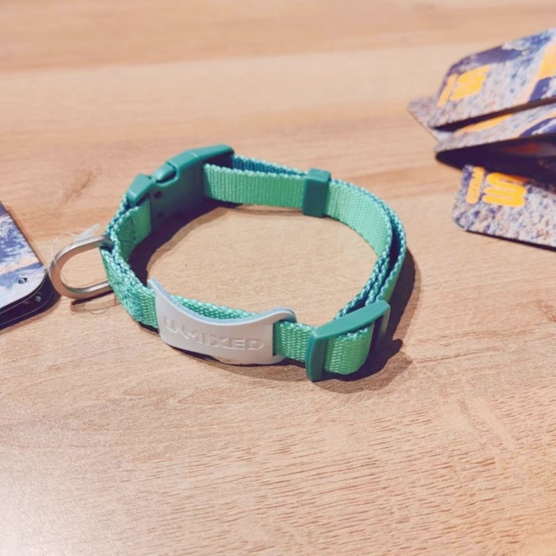 Kutyahám és póráz készlet | Poliészter, Eredet: Zhejiang, Kategória: háziállat kötele, Márka: UNMIXED, Csomagolás: 50 db