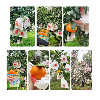 Чанта за обвиване на цитрусови плодове — посадъчно/екологично/защита от вредители и птици; предназначение: цитрусови плодове; внос: Не; марка: Друг