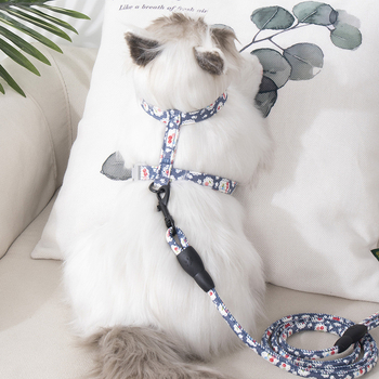 Lesă și ham pentru plimbare cu pisici — anti-ruptură, pandantiv din plastic, lanțuri și frânghii pentru animale de companie