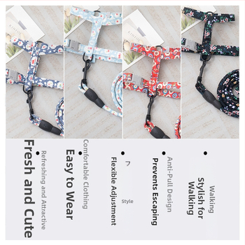 Lesă și ham pentru plimbare cu pisici — anti-ruptură, pandantiv din plastic, lanțuri și frânghii pentru animale de companie