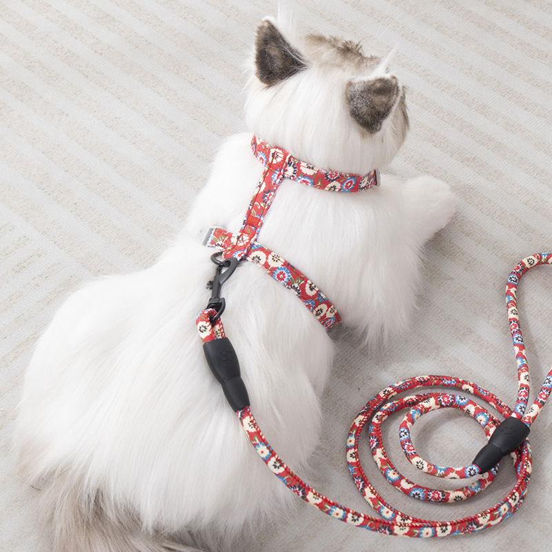 Lesă și ham pentru plimbare cu pisici — anti-ruptură, pandantiv din plastic, lanțuri și frânghii pentru animale de companie