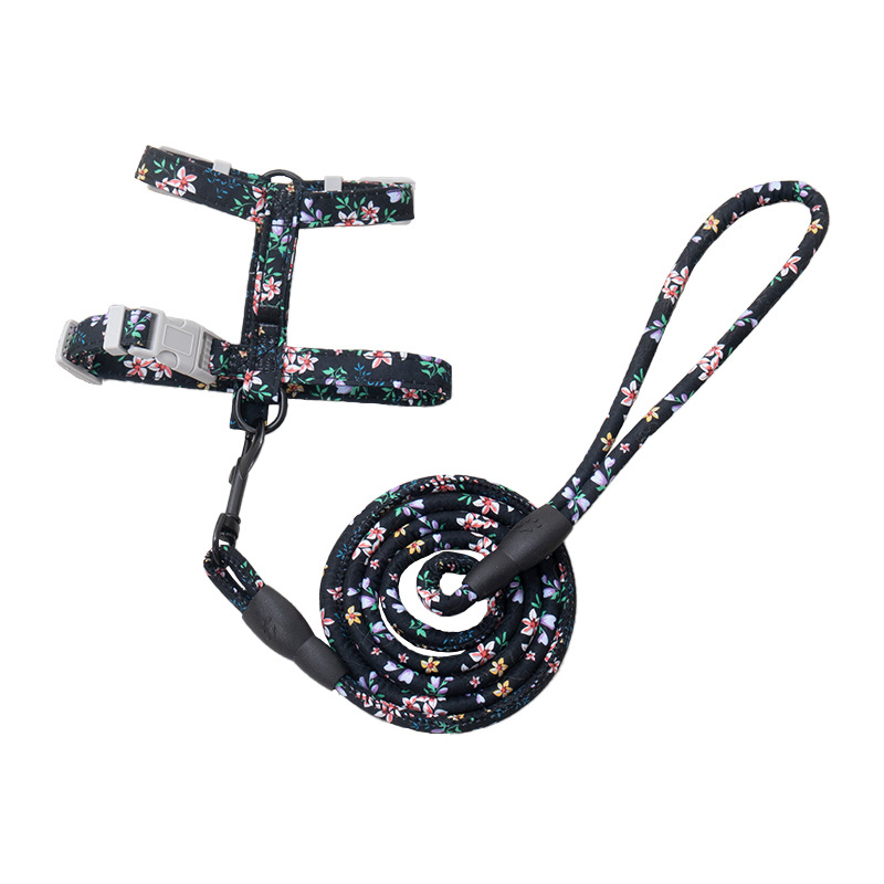 Lesă și ham pentru plimbare cu pisici — anti-ruptură, pandantiv din plastic, lanțuri și frânghii pentru animale de companie