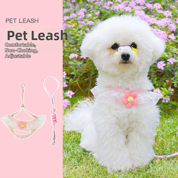 Kis testű kutyák számára való póráz — kötél-lánc kialakítás; Anyag: Egyéb; Kategória: Húzóöv; Csomagolás: 300 darab