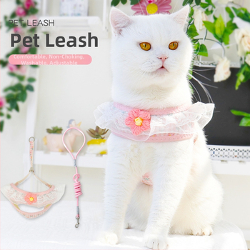 Kis testű kutyák számára való póráz — kötél-lánc kialakítás; Anyag: Egyéb; Kategória: Húzóöv; Csomagolás: 300 darab