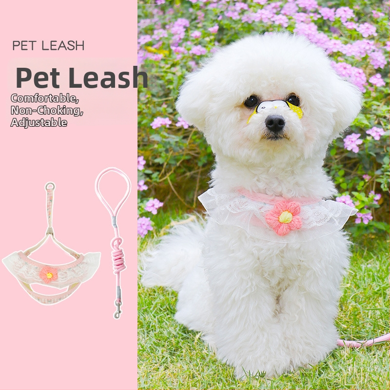 Vodítko pre malé psy — dizajn zo reťazovo-lanového materiálu; Materiál: Iný; Kategória produktu: Ťahová páska; Balenie: 300 kusov