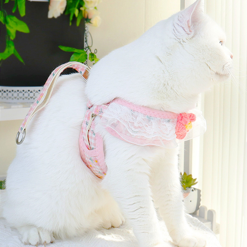 Kis testű kutyák számára való póráz — kötél-lánc kialakítás; Anyag: Egyéb; Kategória: Húzóöv; Csomagolás: 300 darab