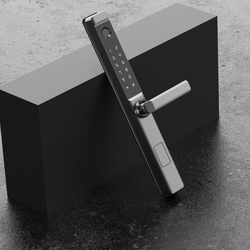 Delroy F9 Lacăt inteligent pentru uși glisante cu amprentă — construcție din aluminiu, stocare 50 amprente, peste 100000 de deblocări, scanare 0,1 s, alimentare DC