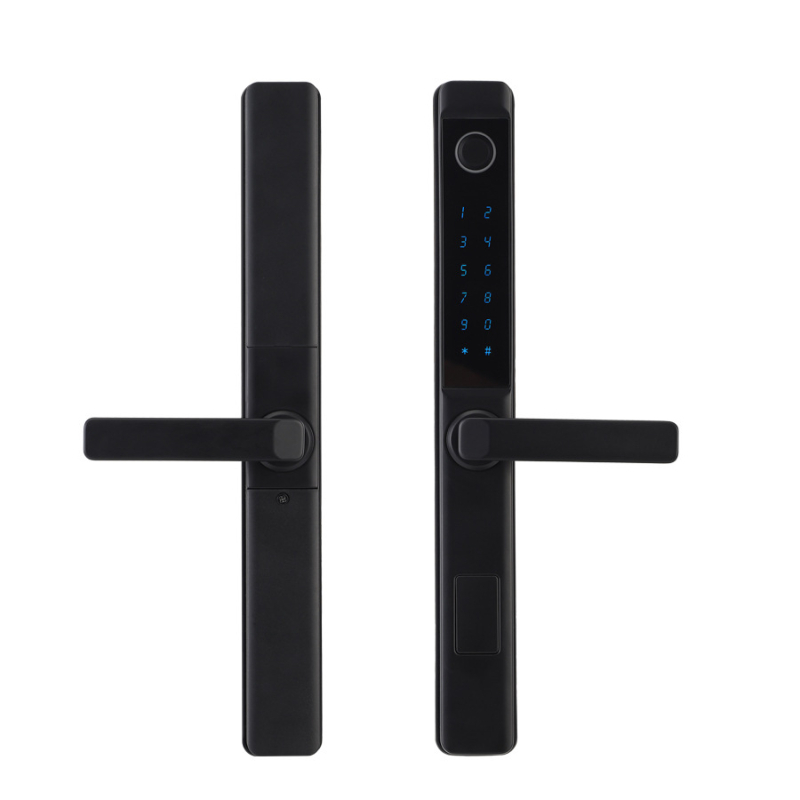 Delroy F9 Lacăt inteligent pentru uși glisante cu amprentă — construcție din aluminiu, stocare 50 amprente, peste 100000 de deblocări, scanare 0,1 s, alimentare DC