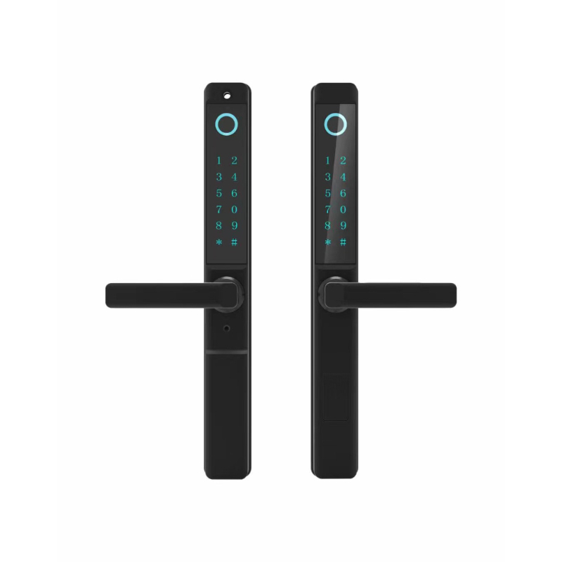 Delroy F9 Lacăt inteligent pentru uși glisante cu amprentă — construcție din aluminiu, stocare 50 amprente, peste 100000 de deblocări, scanare 0,1 s, alimentare DC