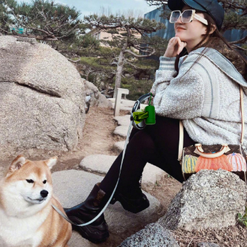 Dávkovač vreciek na odpadky s elastickou matnou nádobou na skladovanie – ABS materiál, nástroj na zber výkalov pre domáce zvieratá