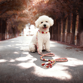 DIY Σετ λουριού σκύλου – χειροποίητο υφαντό, βαμβάκι, καθολική χρήση, χριστουγεννιάτικο θέμα, στυλ ανάπαυσης