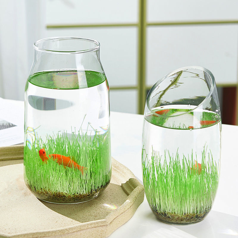 Mini staklena vaza za akvarij i hidroponiku – Kućni DIY ekološka dekoracija, mikro krajolik kroz četiri godišnja doba, moderni jednostavni stil