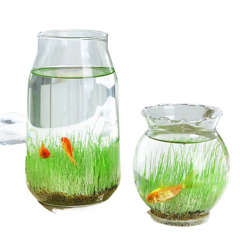 Mini staklena vaza za akvarij i hidroponiku – Kućni DIY ekološka dekoracija, mikro krajolik kroz četiri godišnja doba, moderni jednostavni stil