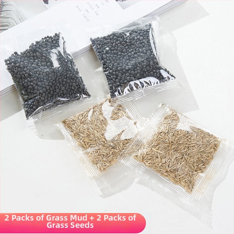 Mini staklena vaza za akvarij i hidroponiku – Kućni DIY ekološka dekoracija, mikro krajolik kroz četiri godišnja doba, moderni jednostavni stil