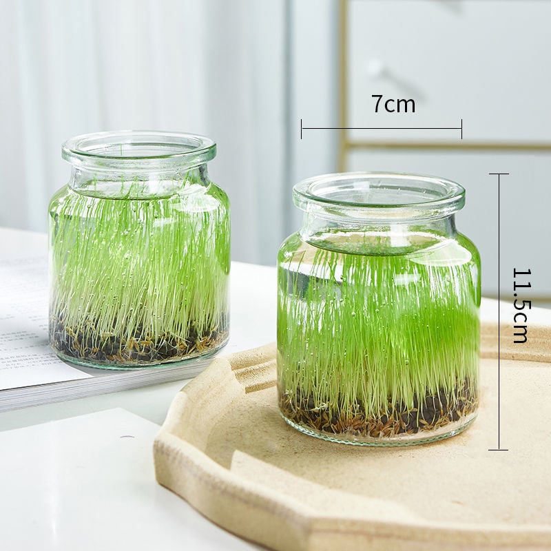 Mini staklena vaza za akvarij i hidroponiku – Kućni DIY ekološka dekoracija, mikro krajolik kroz četiri godišnja doba, moderni jednostavni stil