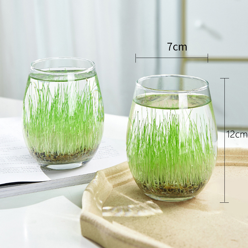 Mini staklena vaza za akvarij i hidroponiku – Kućni DIY ekološka dekoracija, mikro krajolik kroz četiri godišnja doba, moderni jednostavni stil