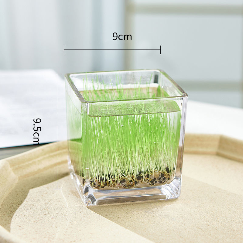 Mini staklena vaza za akvarij i hidroponiku – Kućni DIY ekološka dekoracija, mikro krajolik kroz četiri godišnja doba, moderni jednostavni stil