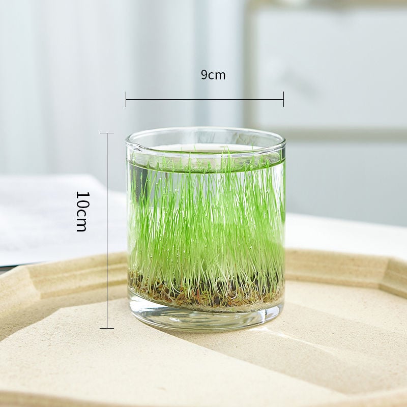 Mini staklena vaza za akvarij i hidroponiku – Kućni DIY ekološka dekoracija, mikro krajolik kroz četiri godišnja doba, moderni jednostavni stil