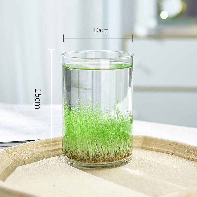 Mini staklena vaza za akvarij i hidroponiku – Kućni DIY ekološka dekoracija, mikro krajolik kroz četiri godišnja doba, moderni jednostavni stil