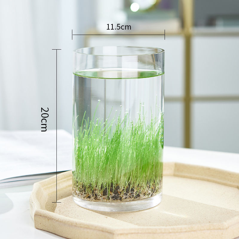 Mini staklena vaza za akvarij i hidroponiku – Kućni DIY ekološka dekoracija, mikro krajolik kroz četiri godišnja doba, moderni jednostavni stil