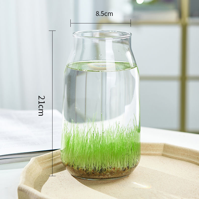 Mini staklena vaza za akvarij i hidroponiku – Kućni DIY ekološka dekoracija, mikro krajolik kroz četiri godišnja doba, moderni jednostavni stil