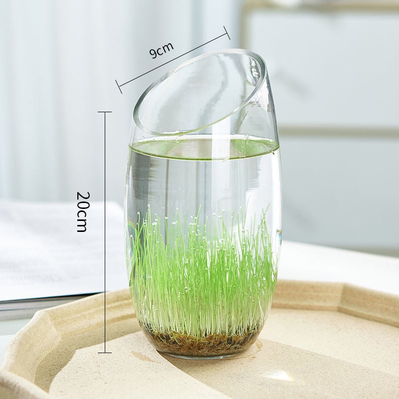 Mini staklena vaza za akvarij i hidroponiku – Kućni DIY ekološka dekoracija, mikro krajolik kroz četiri godišnja doba, moderni jednostavni stil