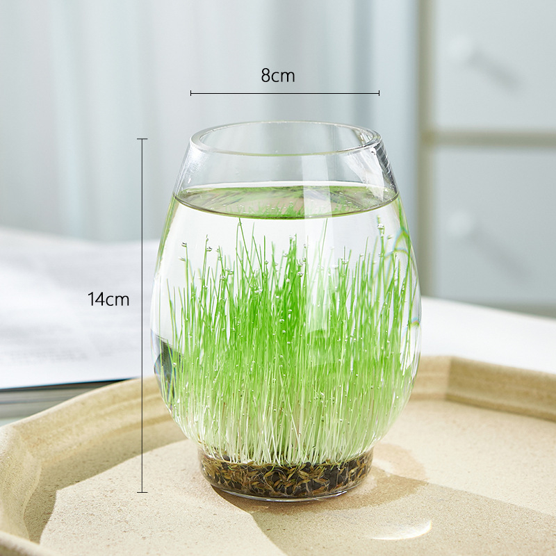 Mini staklena vaza za akvarij i hidroponiku – Kućni DIY ekološka dekoracija, mikro krajolik kroz četiri godišnja doba, moderni jednostavni stil