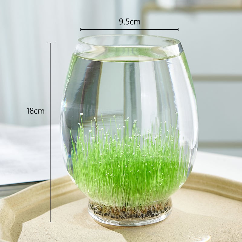 Mini staklena vaza za akvarij i hidroponiku – Kućni DIY ekološka dekoracija, mikro krajolik kroz četiri godišnja doba, moderni jednostavni stil