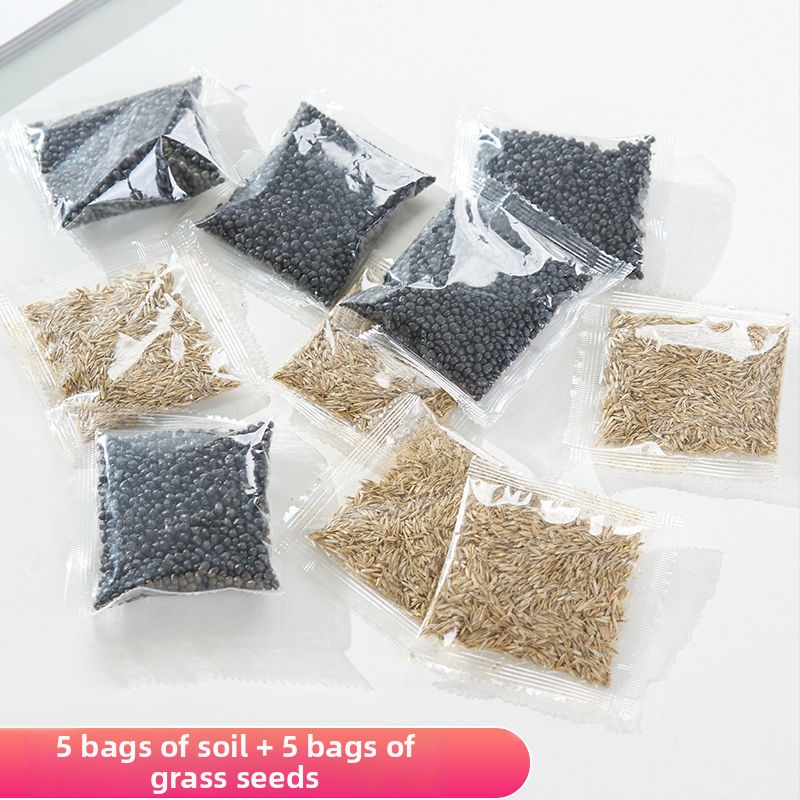 Mini staklena vaza za akvarij i hidroponiku – Kućni DIY ekološka dekoracija, mikro krajolik kroz četiri godišnja doba, moderni jednostavni stil