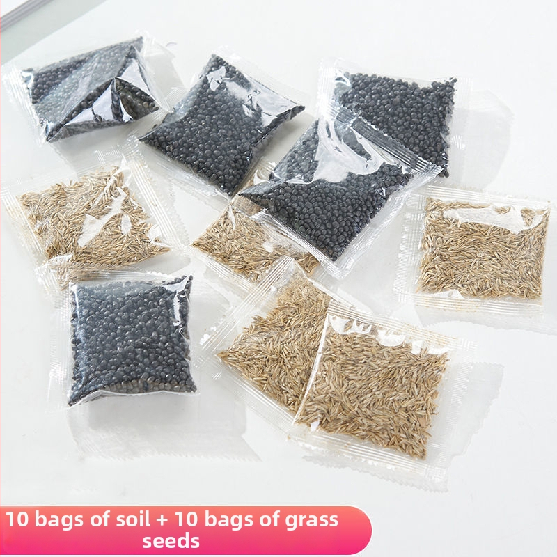 Mini staklena vaza za akvarij i hidroponiku – Kućni DIY ekološka dekoracija, mikro krajolik kroz četiri godišnja doba, moderni jednostavni stil