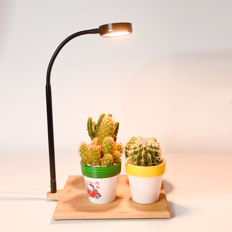 LED φωτιστικό ενυδρείου αδιάβροχο εξοικονόμησης ενέργειας για μικροτοπίο με βρύα