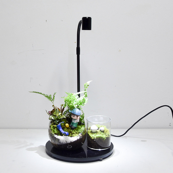 LED φως ανάπτυξης φυτών για παχύφυτα και φυτά σε γλάστρες - πλήρες φάσμα, 3W, 0,5 kg