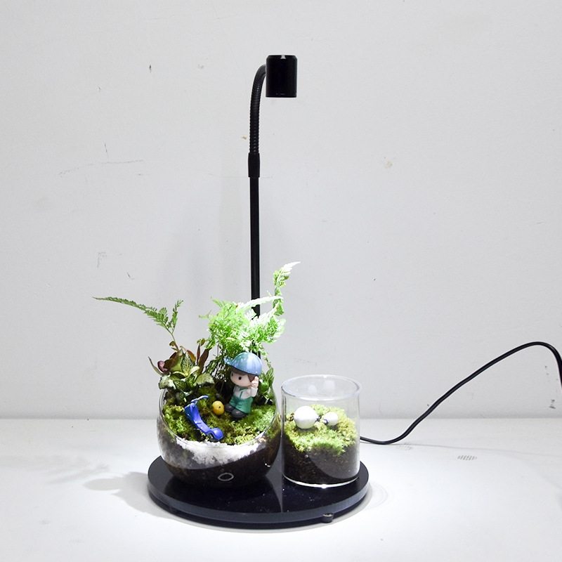 LED φως ανάπτυξης φυτών για παχύφυτα και φυτά σε γλάστρες - πλήρες φάσμα, 3W, 0,5 kg