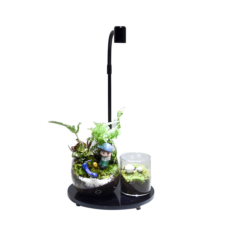 LED φως ανάπτυξης φυτών για παχύφυτα και φυτά σε γλάστρες - πλήρες φάσμα, 3W, 0,5 kg