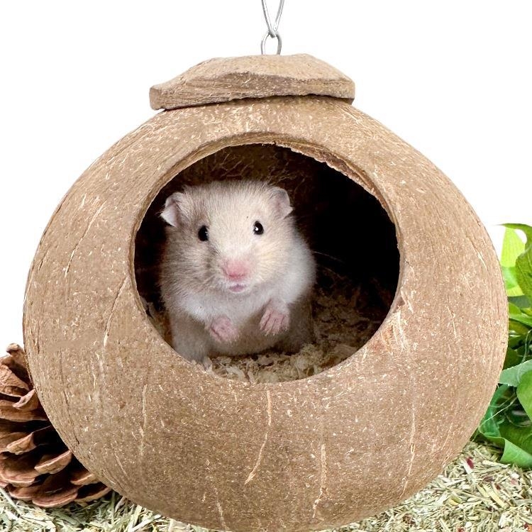 Hamster gnijezdo od kokosove ljuske – Materijal: svileno cvijeće, kružno, vodootporno, unutarnje, crtani stil