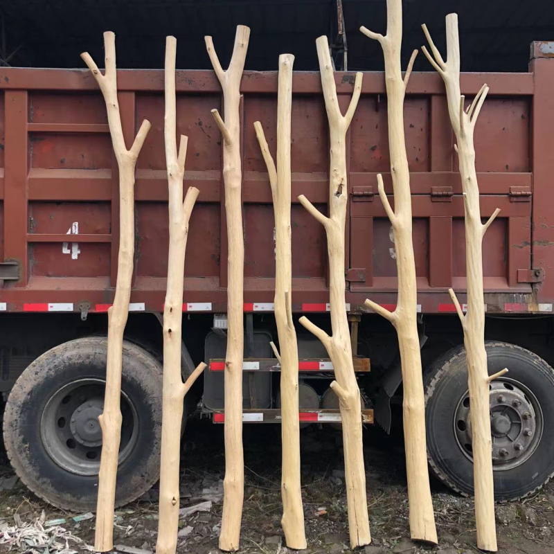 Декоративни дървени клонки от естествено дърво за завеси и закачалки за дрехи, обелени сухи клонки; материал 23332023141, занаят 19766709556, разновидност Daisy; предназначени за сватби, на открито, реквизит за снимки и домашен декор