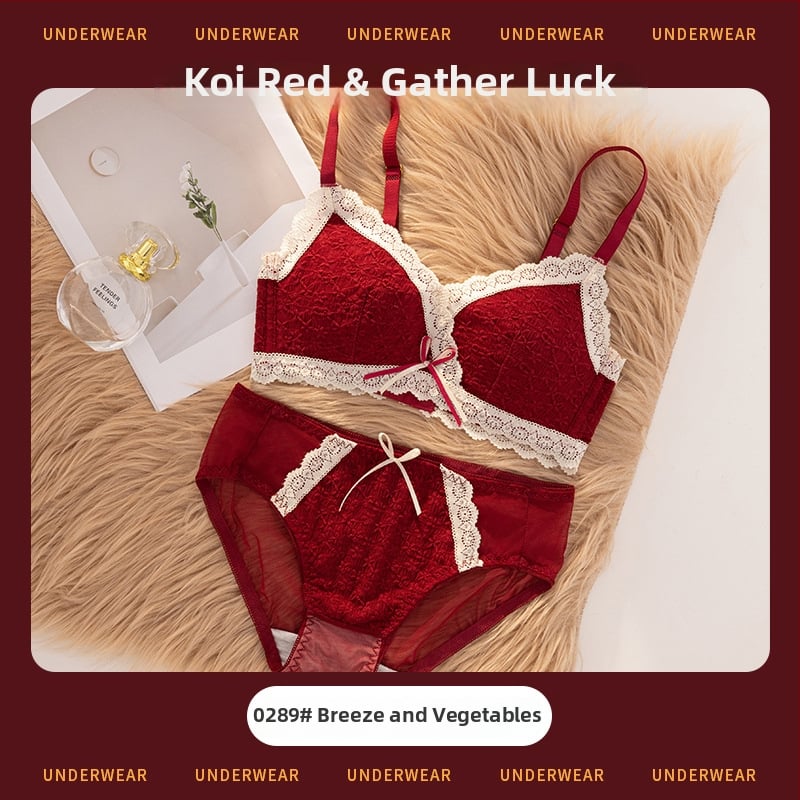 Set de sutiene pentru femei cu cupă 3/4, cupe modelate cu partea superioară subțire, partea inferioară mai groasă, material dantelat din nailon, bretele fixe duble, închidere din spate cu trei rânduri, fără fir, respirabil, confortabil