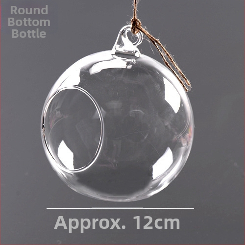 Γυάλινο μπουκάλι DIY για μικρο-τοπία με βρύα – Υψηλό borosilikat γυαλί, Creative Workshop, συσκευασία από χαρτόνι, κρεμαστό μπουκάλι