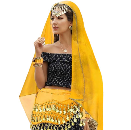 Kostim Belly Dance, set od 4 dijela s hip šalom od šifona sa zlatnim novčićima, šalom za zglob i šalom za glavu – poliester 95%+, Zima 2025, za žene 18–24 godina