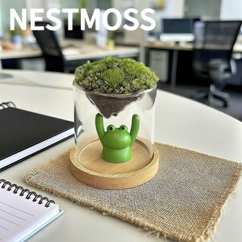 Γυάλινο βάζο με μίνι τοπίο από βρύα για γραφείο, γυαλί υψηλής αντοχής, μάρκα Independent, δώρο επιχειρήσεων