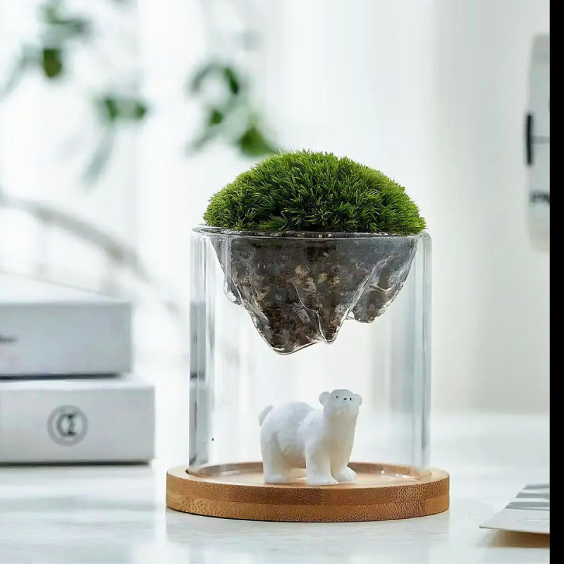 Γυάλινο βάζο με μίνι τοπίο από βρύα για γραφείο, γυαλί υψηλής αντοχής, μάρκα Independent, δώρο επιχειρήσεων