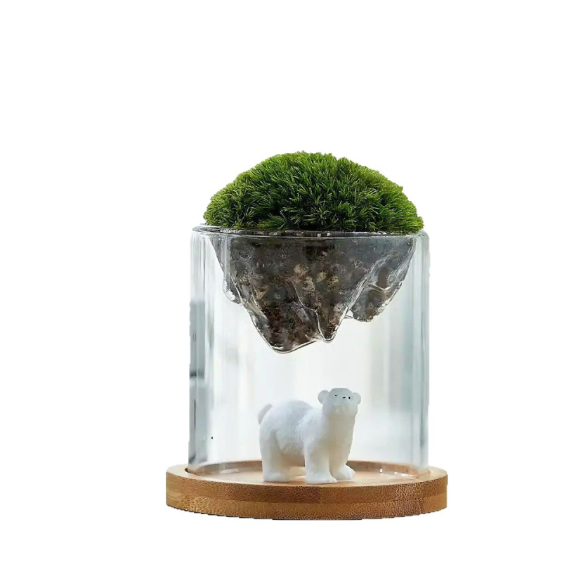 Γυάλινο βάζο με μίνι τοπίο από βρύα για γραφείο, γυαλί υψηλής αντοχής, μάρκα Independent, δώρο επιχειρήσεων