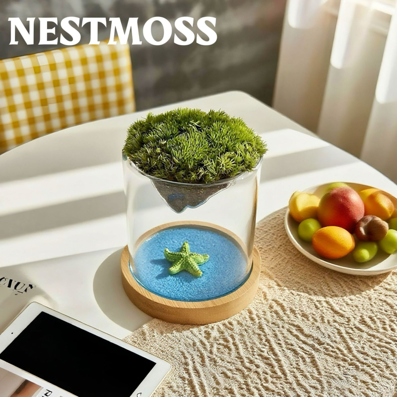 Γυάλινο βάζο με μίνι τοπίο από βρύα για γραφείο, γυαλί υψηλής αντοχής, μάρκα Independent, δώρο επιχειρήσεων